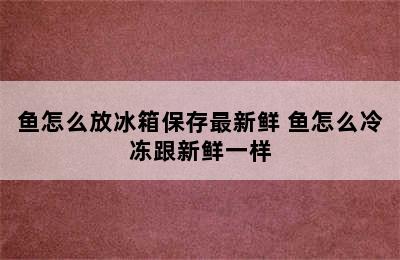 鱼怎么放冰箱保存最新鲜 鱼怎么冷冻跟新鲜一样